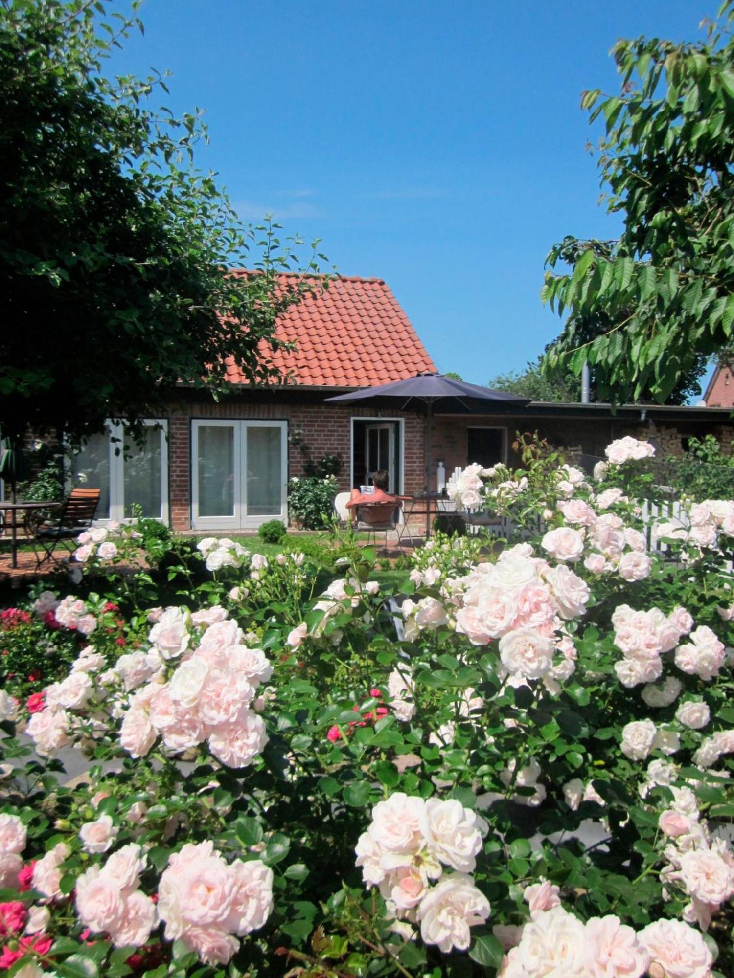 Ferienwohnung "Rosenkate 1" Riepsdorf Exterior foto
